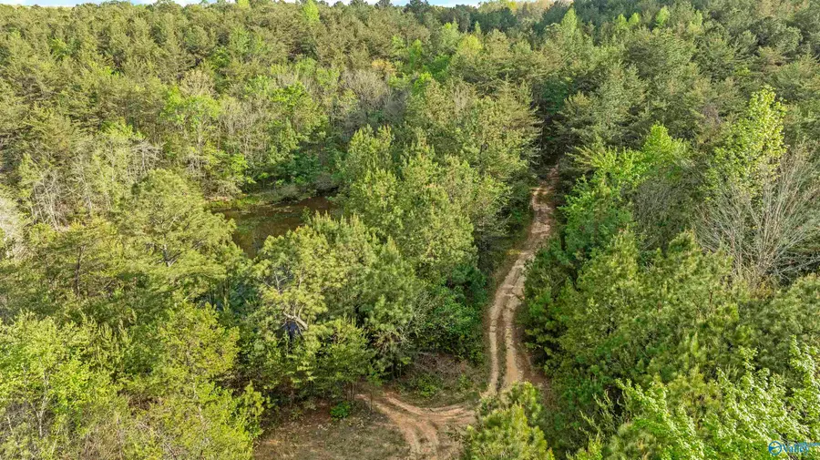 7.8 Acres Road 9002, Mentone, AL 35984 - #2