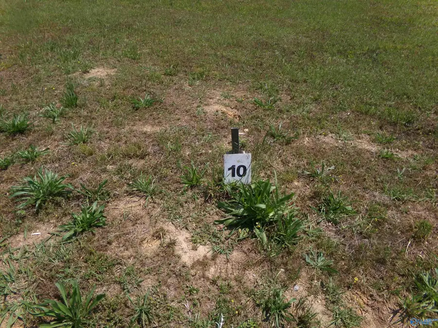 Lot 10 County Road 1057, Cedar Bluff, AL 35959 - #2