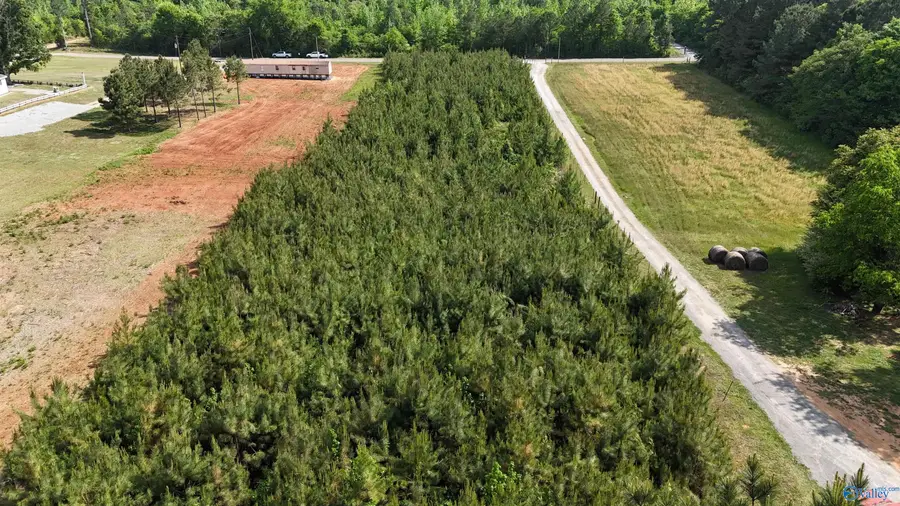 2.2 Curry Chapel Road, Somerville, AL 35670 - #3