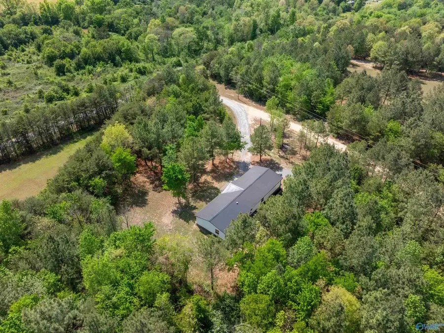 4497 County Road 159, Flat Rock, AL 35966 - #2