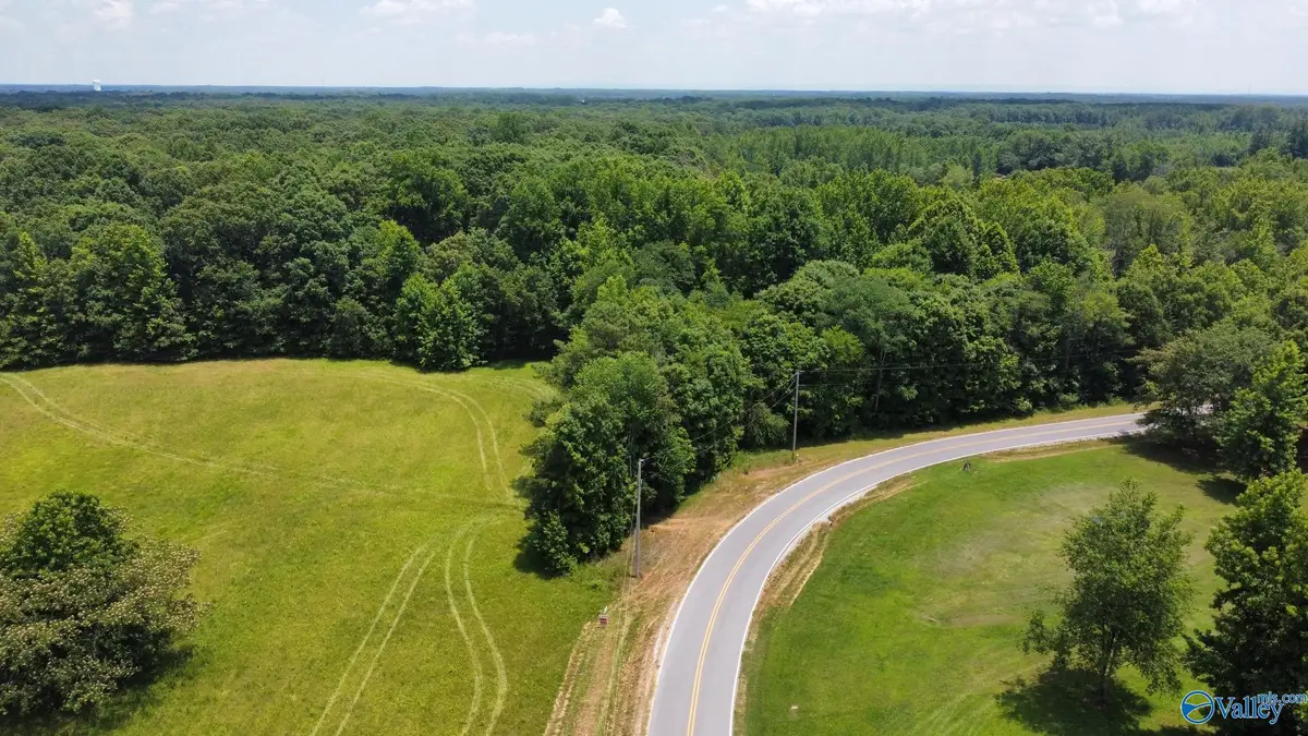45.55 Acres Cook Road, Ardmore, AL 35739 - #1