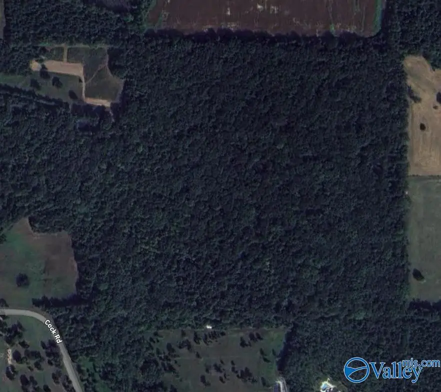 45.55 Acres Cook Road, Ardmore, AL 35739 - #3