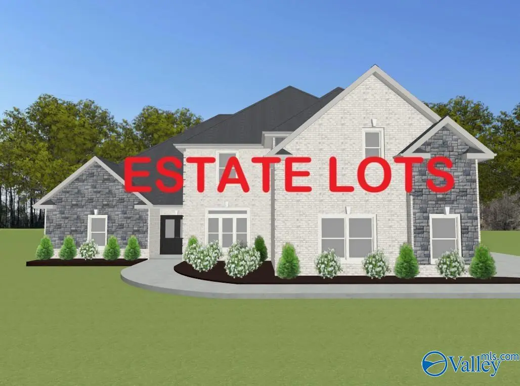 MountainBrook B Newby Chapel Road, Athens, AL 35613 - #1