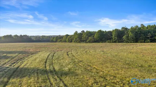 20+/- Alabama Highway 71, Dutton, AL 35744