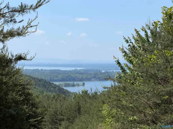 122 County Road 75, Cedar Bluff, AL 35959