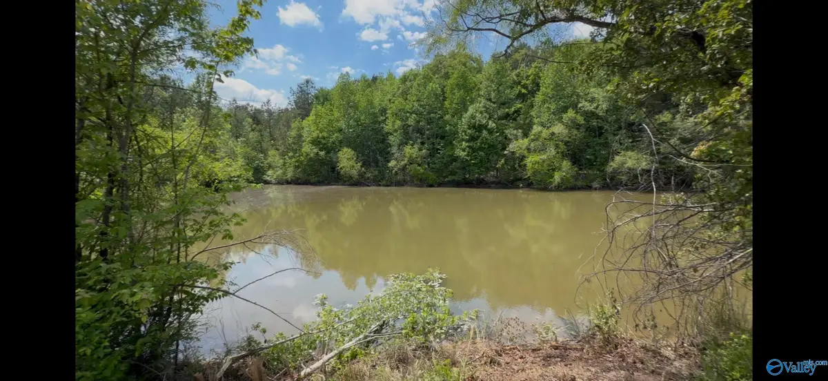 157 County Road 144, Gaylesville, AL 35973 - #1