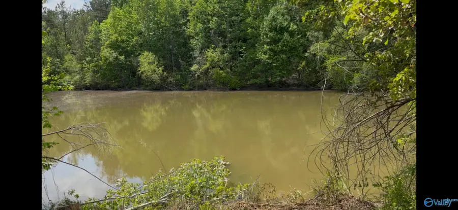157 County Road 144, Gaylesville, AL 35973 - #3