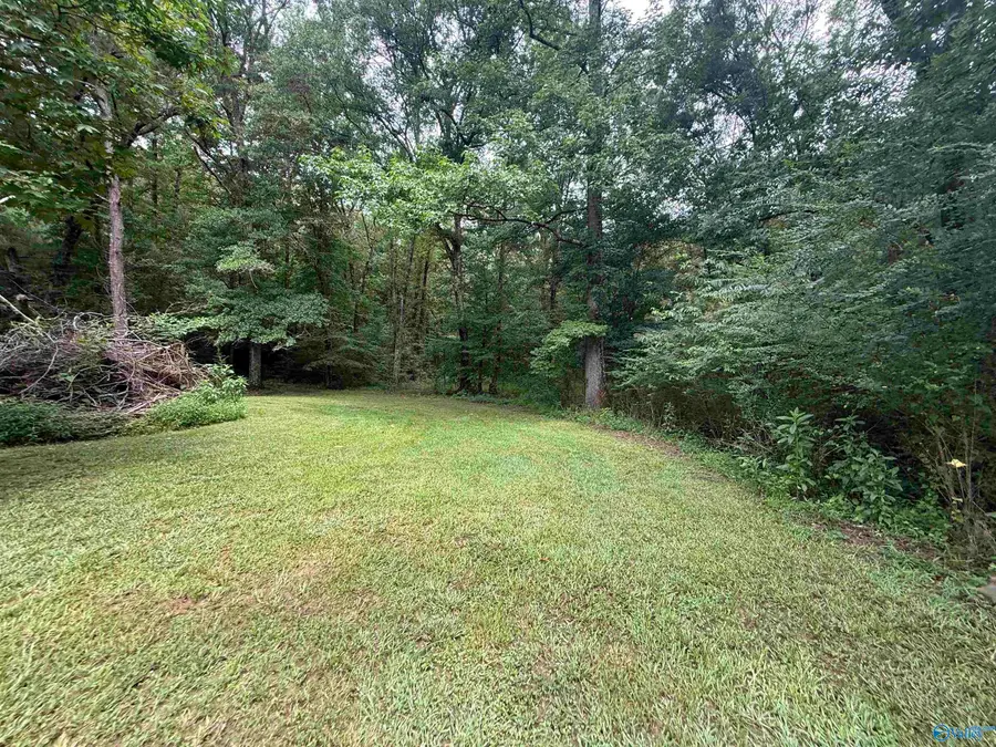 2AC County Road 501, Hanceville, AL 35077 - #3