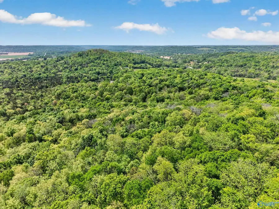 475 Old Elkton Pike, Fayetteville, TN 37334 - #3