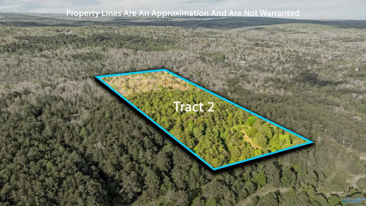Tract 2 Road 9002, Mentone, AL 35984 - #1