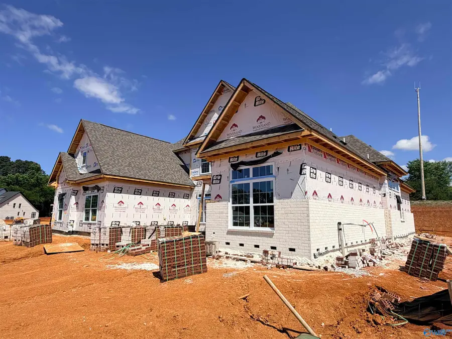 114 Josie Loop Trail, Toney, AL 35773 - #3