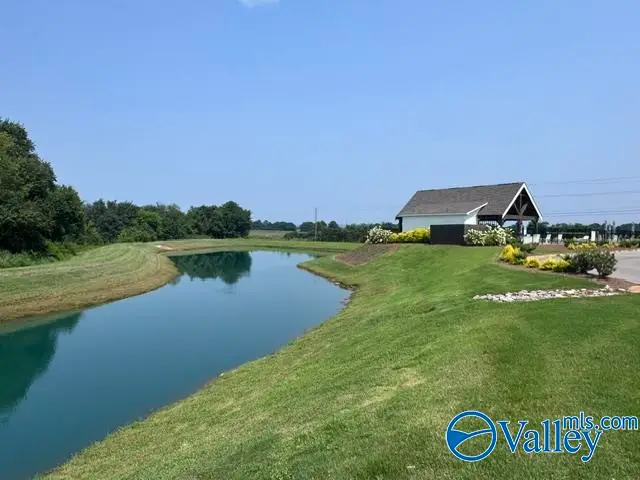 400 Anna Dora Way, Meridianville, AL 35759 - #3
