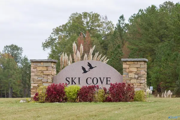 Lot 1 Goose Pond Island Drive, Scottsboro, AL 35769