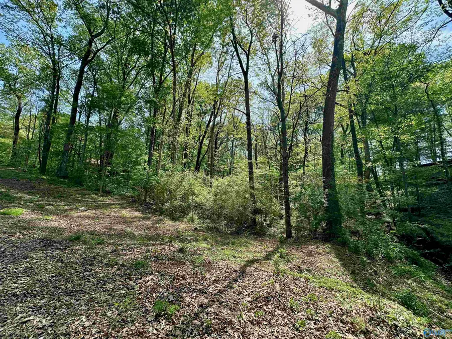 12466 Beech Fork Lane, Athens, AL 35611 - #2
