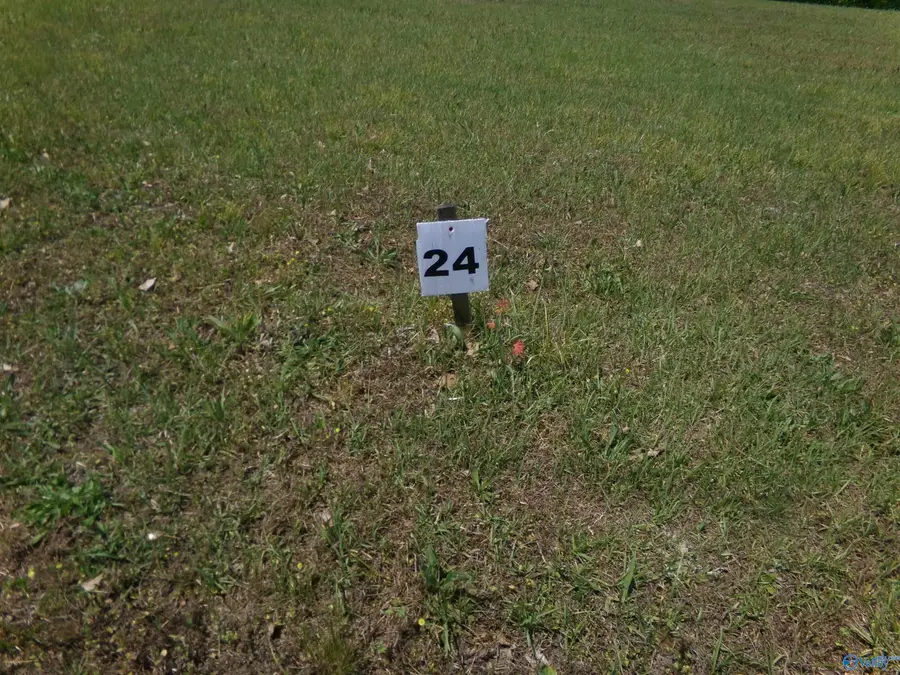 Lot 24 County Road 1057, Cedar Bluff, AL 35959 - #2