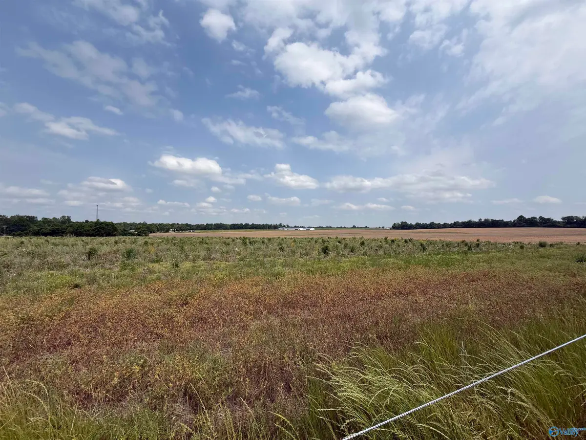 2A Ezell Road, Athens, AL 35611 - #1