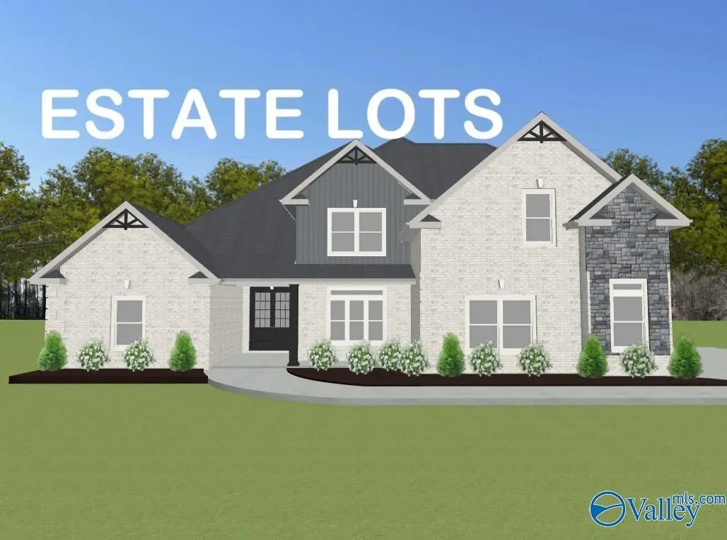 Thorton B Newby Chapel Road, Athens, AL 35613 - #1