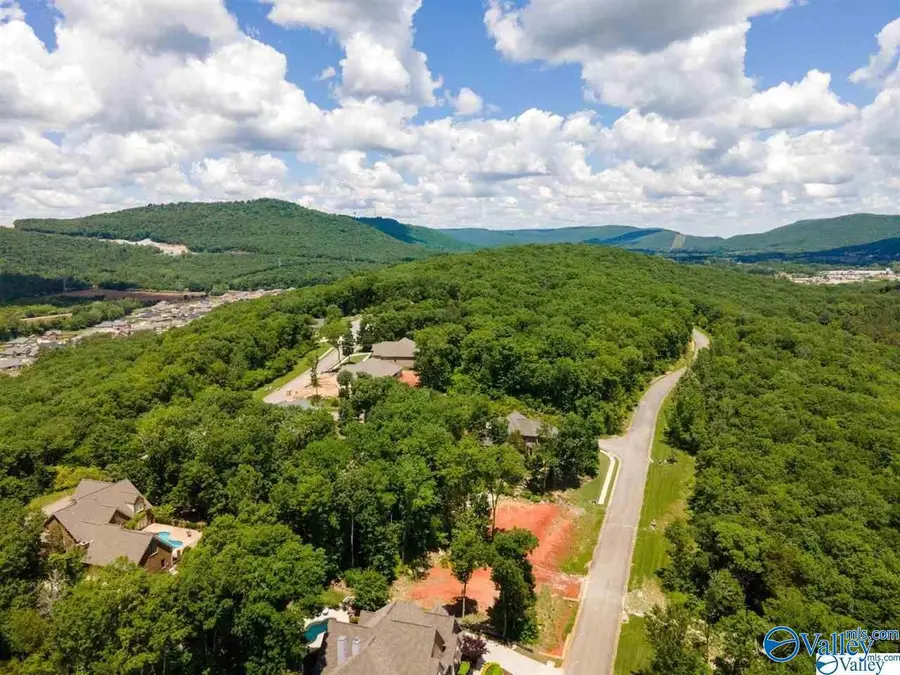 7037 Ridge Crest Road, Owens Cross Roads, AL 35763 - #2
