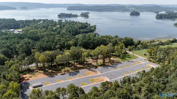 1007 Scottsboro Hwy, Guntersville, AL 35976