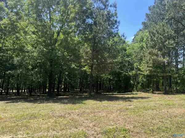 Lot 1 County Road 1009, Cedar Bluff, AL 35959