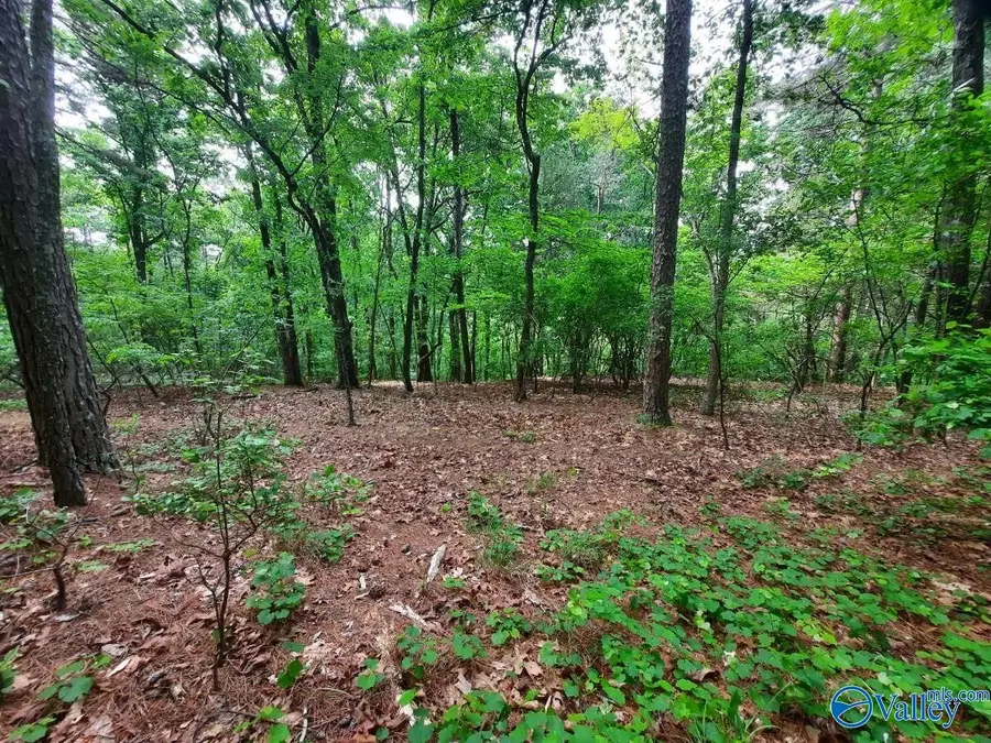 4.4 acres Wooten Road, Grant, AL 35747 - #3