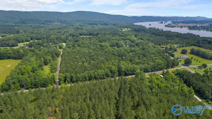 12.2 Riddles Bend Road, Rainbow City, AL 35906 - #3