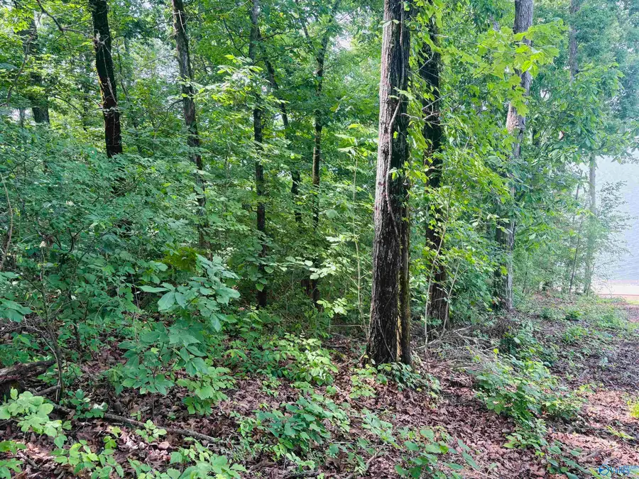 1864 Laura Drive, Southside, AL 35907 - #2