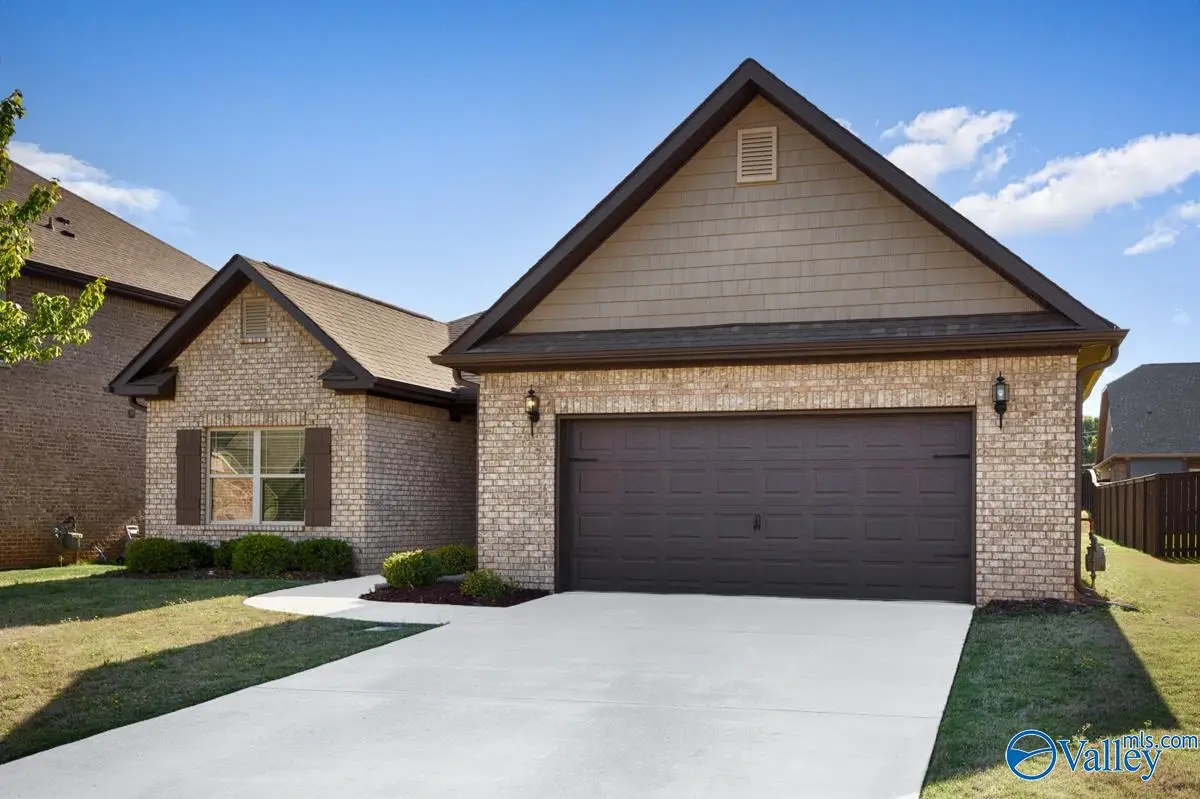 238 Portrait Street, Meridianville, AL 35759 - #1