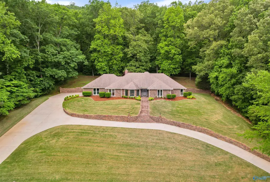 206 Deanna Drive, Owens Cross Roads, AL 35763 - #3