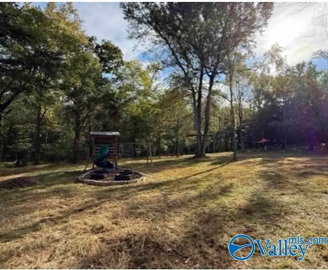 169 Brooks Church Road, Hazel Green, AL 35750 - #1