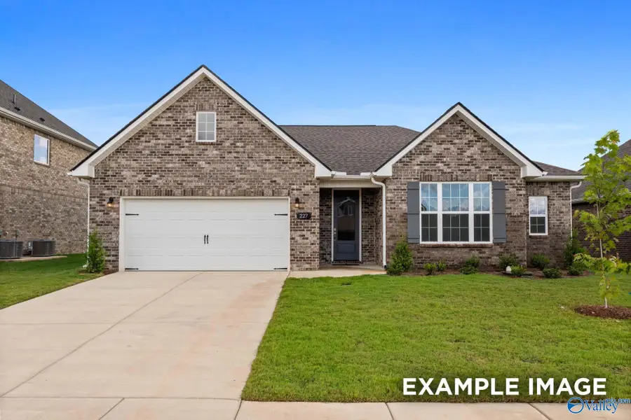 132 Cowdray Circle, Toney, AL 35773 - #3