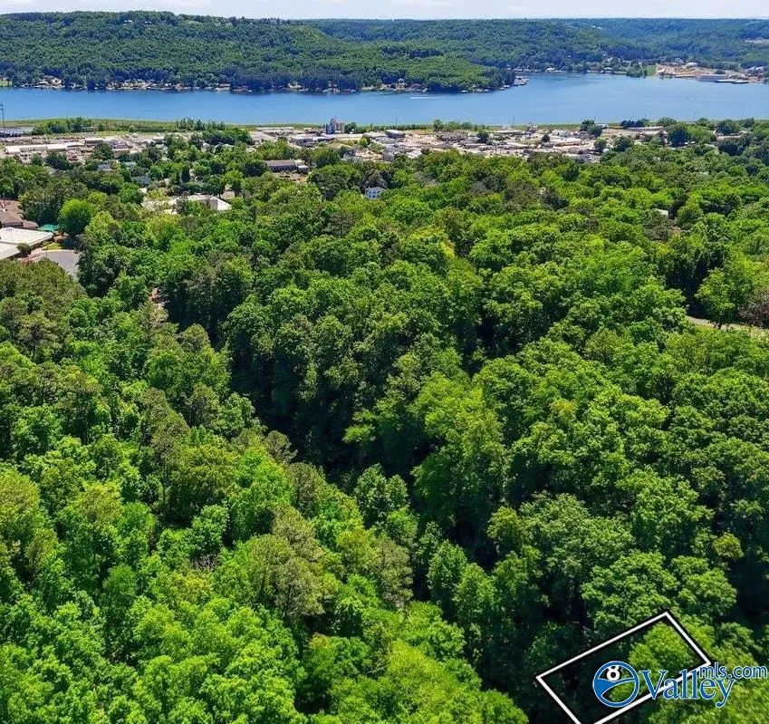 Lot 8 Lusk Street, Guntersville, AL 35976 - #1