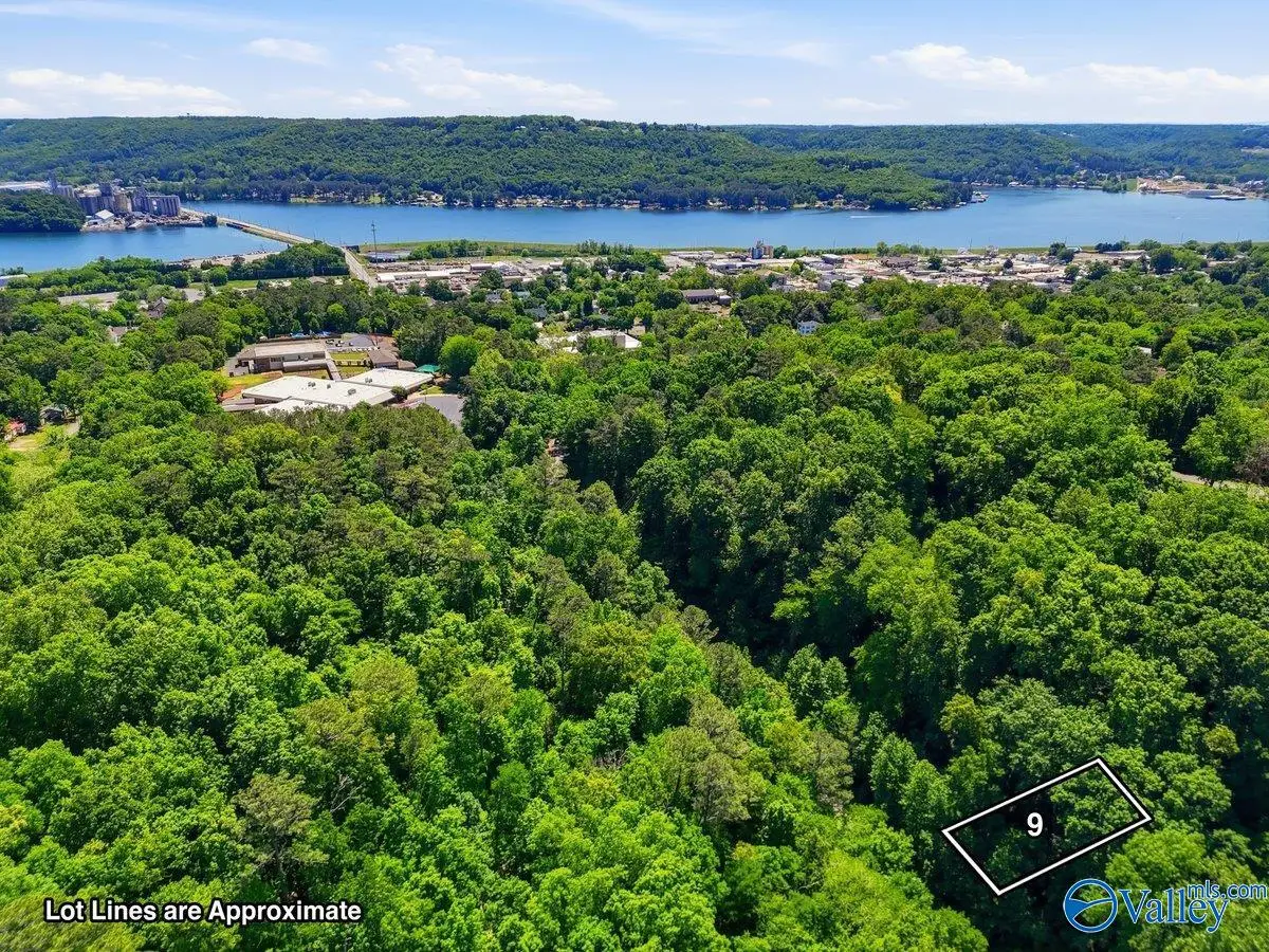Lot 9 Lusk Street, Guntersville, AL 35976 - #1