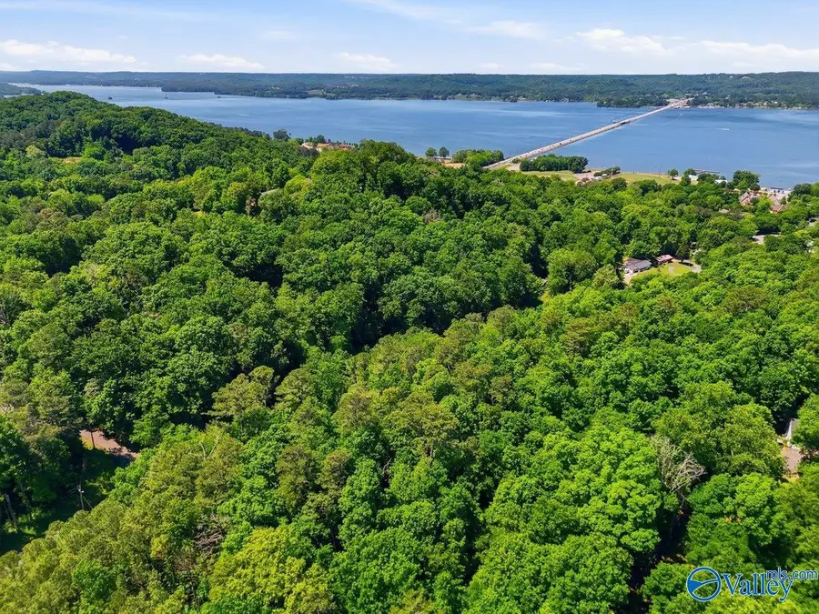 Lot 9 Lusk Street, Guntersville, AL 35976 - #3