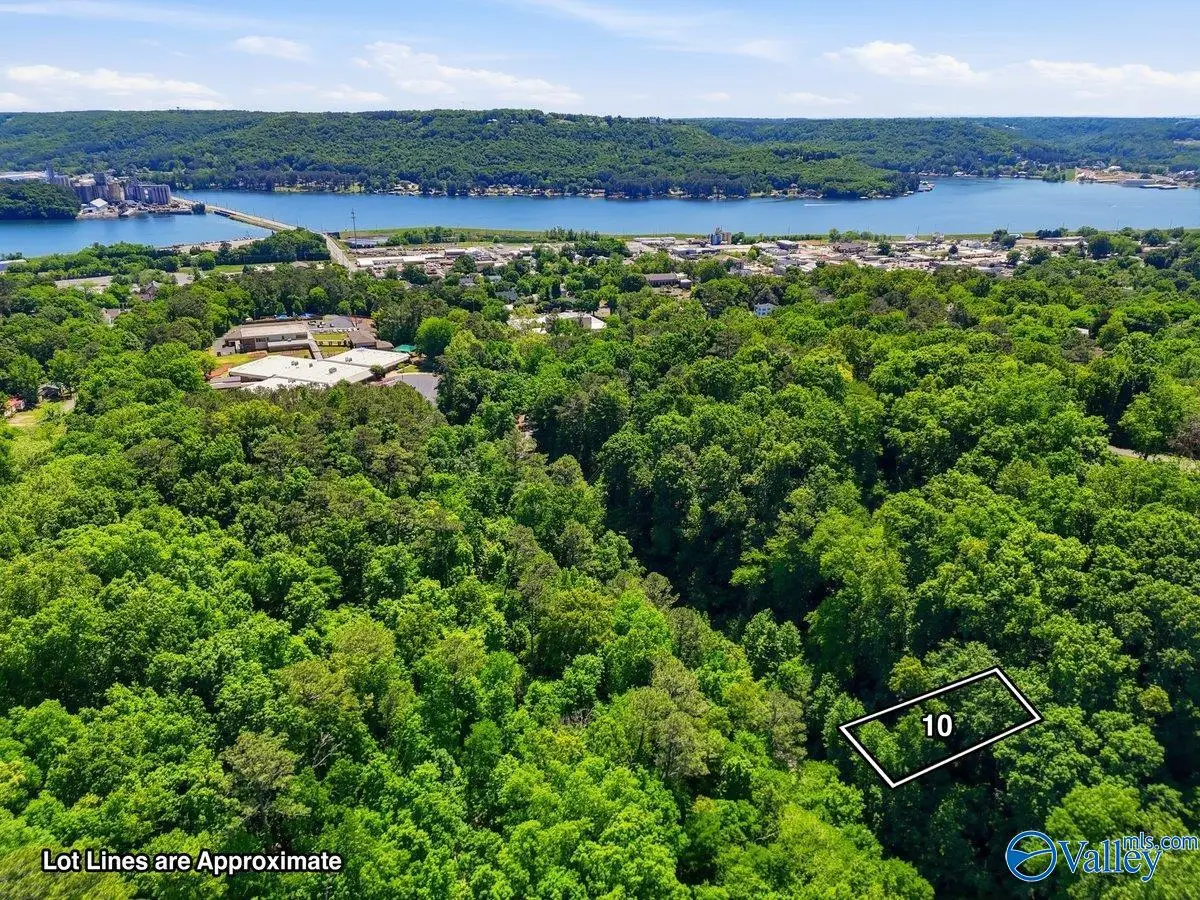 Lot 10 Lusk Street, Guntersville, AL 35976 - #1