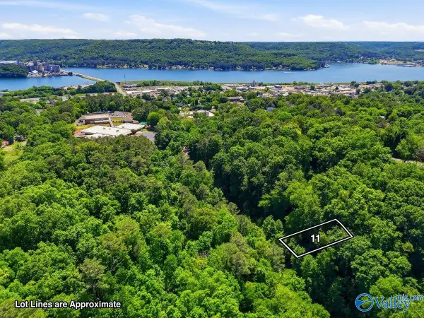 Lot 11 Lusk Street, Guntersville, AL 35976