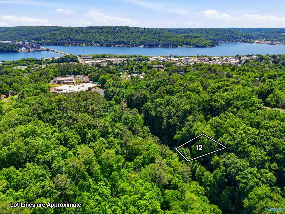 Lot 12 Lusk Street, Guntersville, AL 35976 - #1