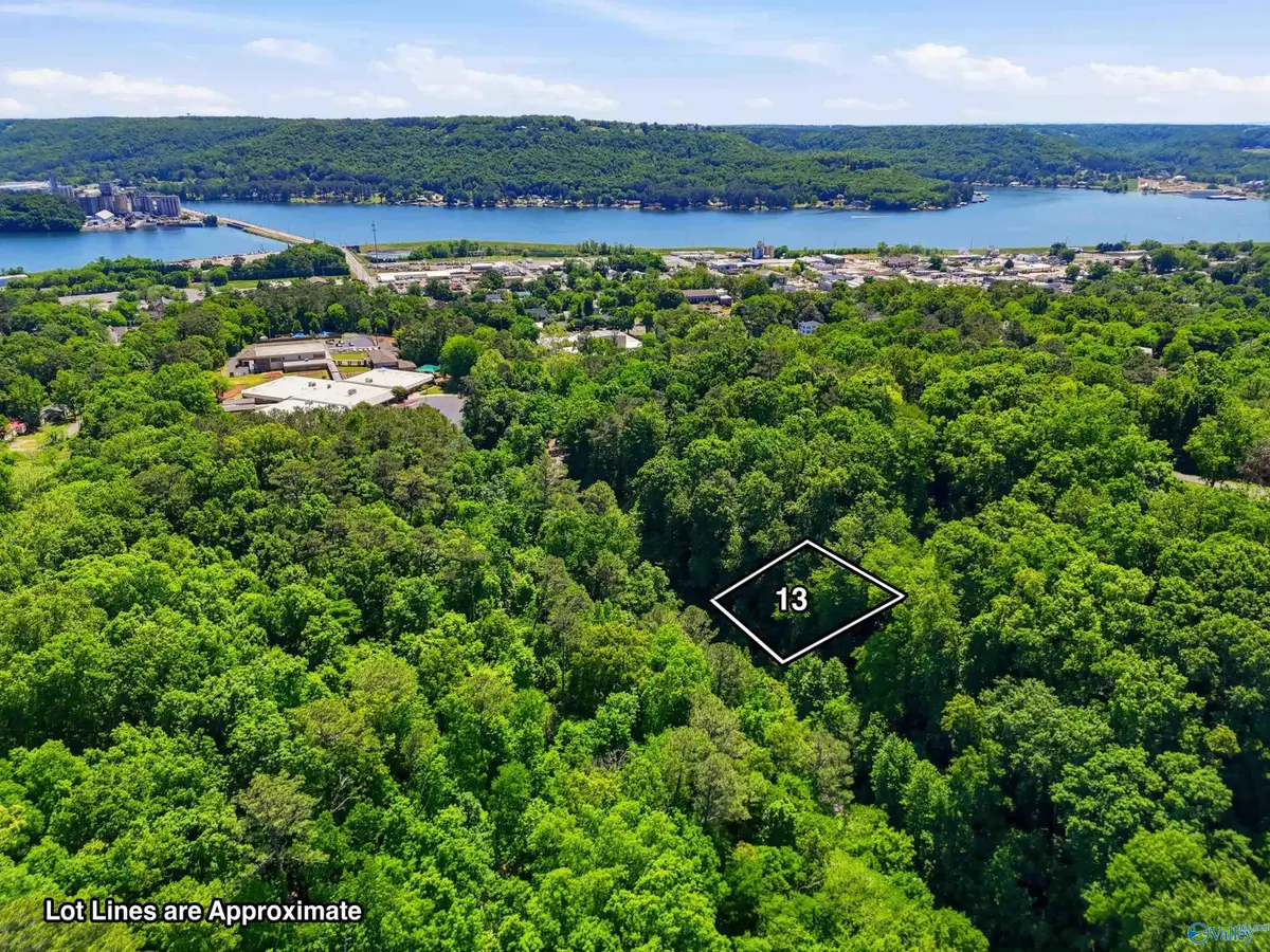 Lot 13 Lusk Street, Guntersville, AL 35976 - #1