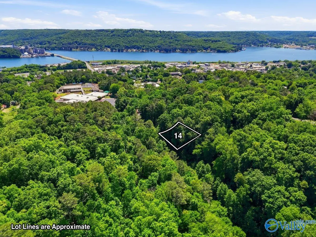 Lot 14 Lusk Street, Guntersville, AL 35976 - #1