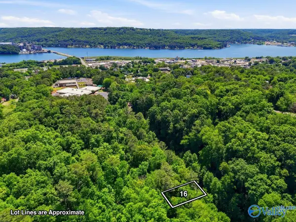 Lot 16 Lusk Street, Guntersville, AL 35976