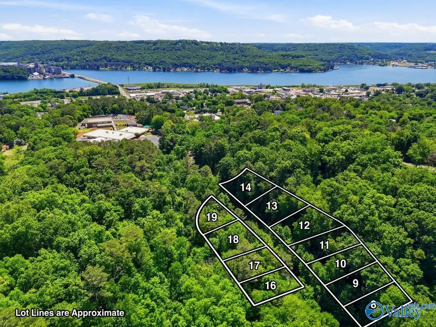 Lot 16 Lusk Street, Guntersville, AL 35976 - #2