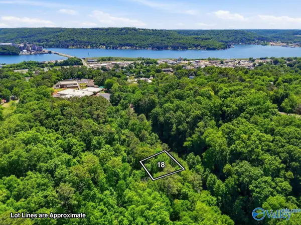 Lot 18 Lusk Street, Guntersville, AL 35976