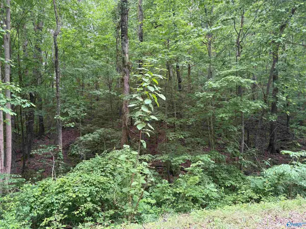 2756 Wilhite Road, Falkville, AL 35622