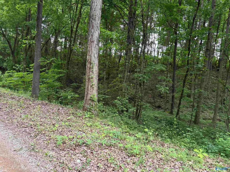 2756 Wilhite Road, Falkville, AL 35622 - #2