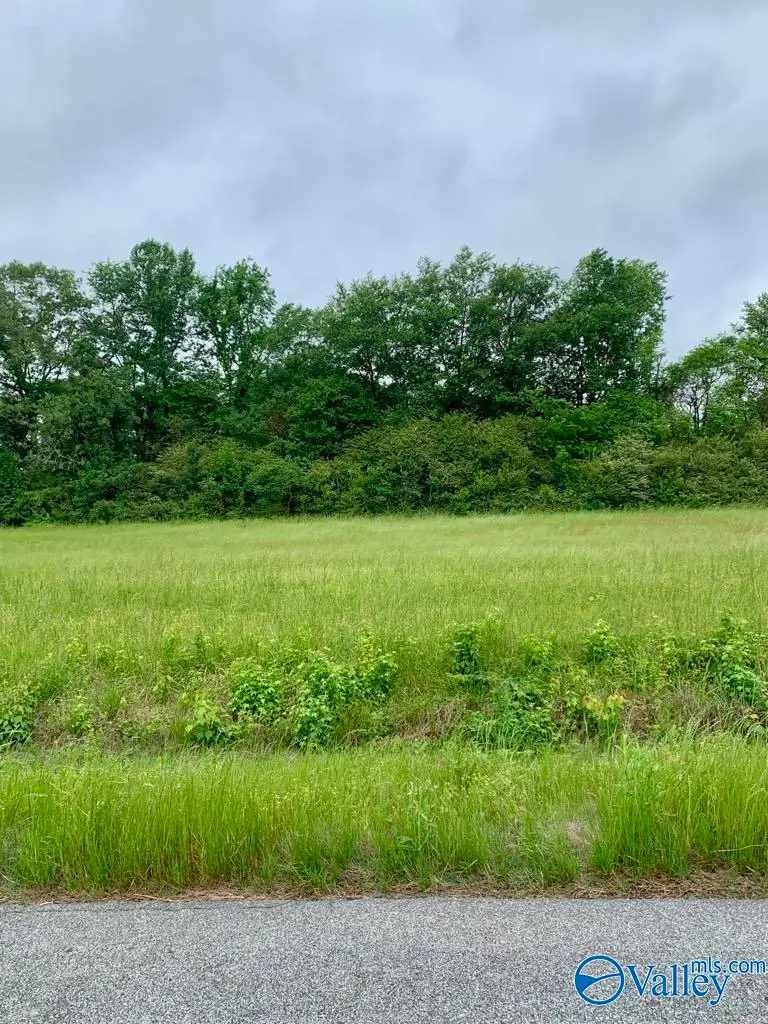 23799 Holt Road, Athens, AL 35613 - #3