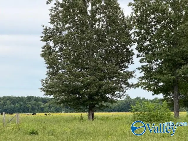 Lot 1 Neely Road, Athens, AL 35611 - #3