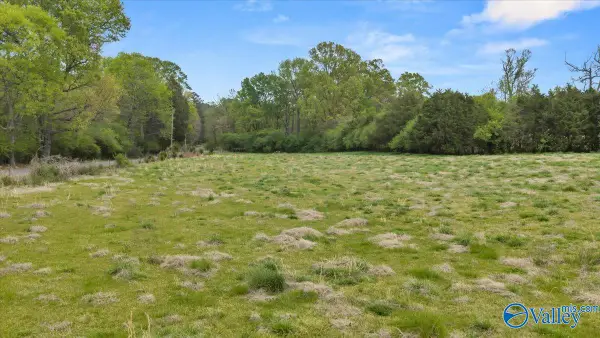 Lot A River Road, Hollywood, AL 35752