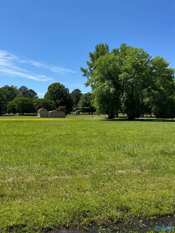 S&W S Pine Street, Priceville, AL 35603