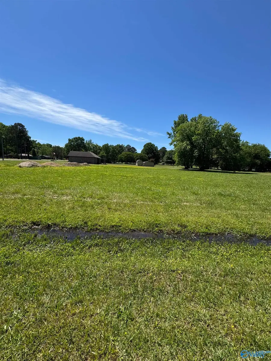 S&W S Pine Street, Priceville, AL 35603 - #3