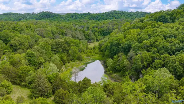 77 Acres Hixon Road, Fort Payne, AL 35967